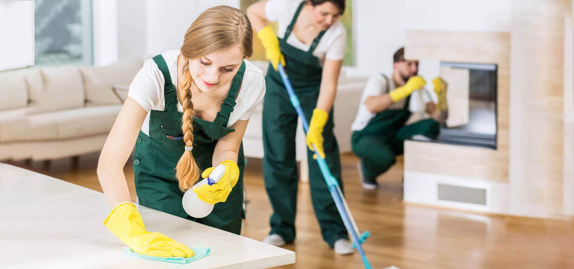 About Us Colorado Springs House Cleaning Service Inc